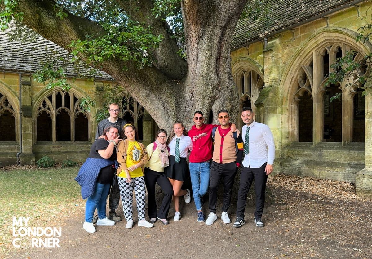 New College Albero di Draco Malfoy a Oxford